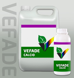 VEFADE CALCIO