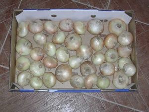 DSCN0026-17